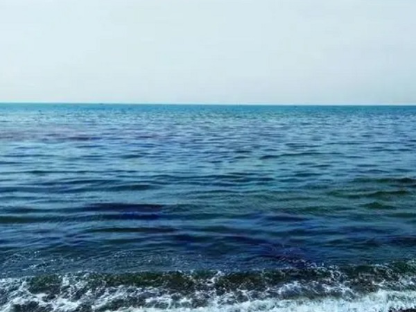 日本核廢水將排海-影響何以估量？